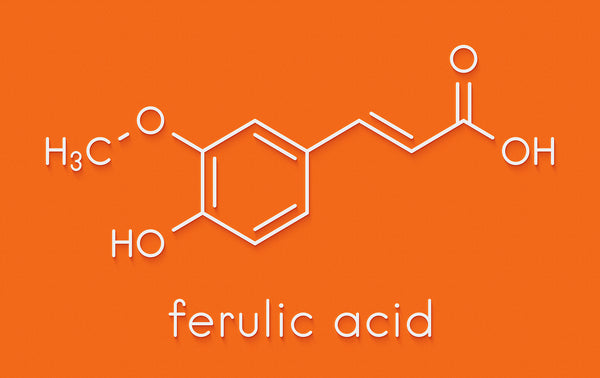 Ferulic Acid Benefits: Benefits for Your Skin