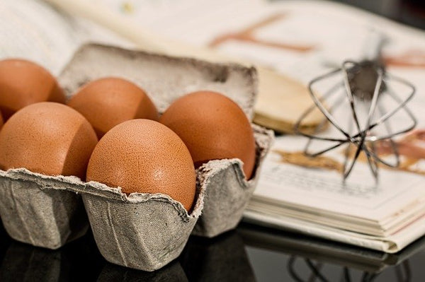 Eggstacular! Why One Egg in the Morning Helps You Lose Weight