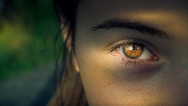 The 10 Vitamins and Minerals and Herbs To Help Maintain Your Eye Health